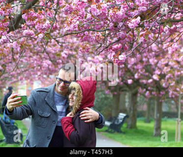 A Couple Seen Taking Selfies Along The Famous Cherry Blossom Avenue In Full Bloom At The Greenwich Park Stock Photo Alamy