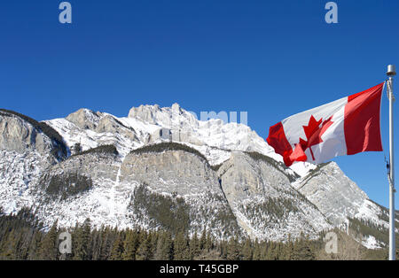 Picture of Rockies with Canadian Flag Stock Photo