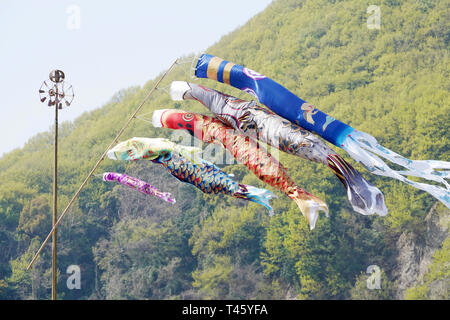 Japanese Koinobori carp kite, decoration on the Children's Day Stock Photo