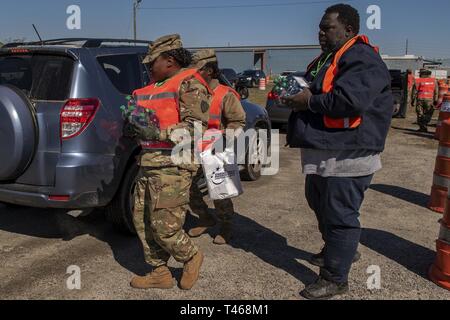 U.S. Army Soldiers from Alpha Company, 351st Aviation Support Battalion out of Hartsville, S.C., along with personnel from the Chatham Emergency Management Agency, hand out bottled water and other emergency supplies as part of a point of distribution full scale exercise called “Operation: Get to the Point” during PATRIOT South 19 in Savannah, Ga., Mar. 6, 2019. PATRIOT South 19 is an annual, accredited Joint National Training Capability exercise that provides a simulated natural disaster environment for units to test their response and capabilities to conduct domestic operations. Stock Photo