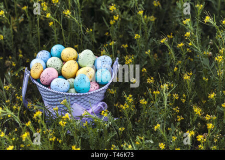 Closeup of Easter eggs collected in a purple bucket on a green grass as a background,  - Image Stock Photo