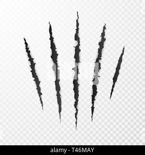 Monster Claws. Claw scratch mark. Animal scratch isolated on transparent background. Shred paper. Vector illustration Stock Vector