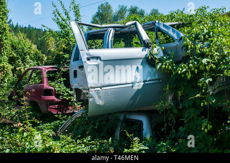 Old crushed cars bodies stored in auto wrecking junk yard for scrap and spare parts Stock Photo