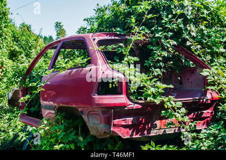 Old crushed cars bodies stored in auto wrecking junk yard for scrap and spare parts Stock Photo