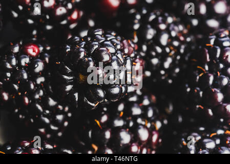 Background from fresh Blackberries, close up. Lot of ripe juicy wild fruit raw berries lying on the table. Top view. Stock Photo