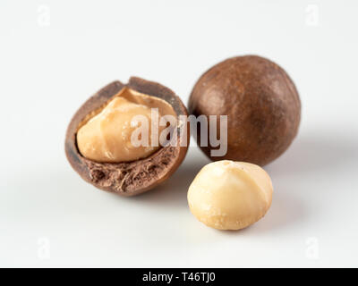 Three peeled macadamia nuts on white background. Set of three macadamia nuts - unshelled, with open shells, and shelled. isolated on white. Copy space for text. Stock Photo
