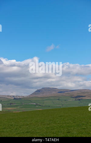Whernside in the Yorkshire Dales looking north in the Spring sunlight on an April's day with the small Hill farms on its flanks. Kirby Lonsdale, Engla Stock Photo