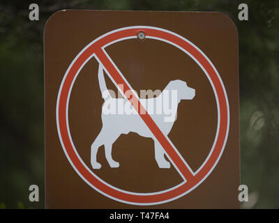 No dogs allowed: A sign prohibiting dogs Stock Photo