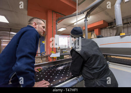 two young carpenters calculating and programming a cnc wood working machine in workshop. wood workers preparing a computer program for CNC machine at  Stock Photo