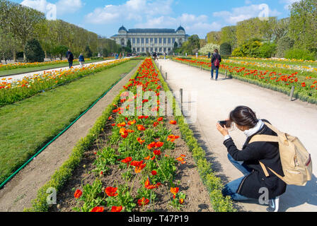 A woman taking photo of plant with Grande galerie de l'evolution with flowers at jardin des plantes, paris, france Stock Photo