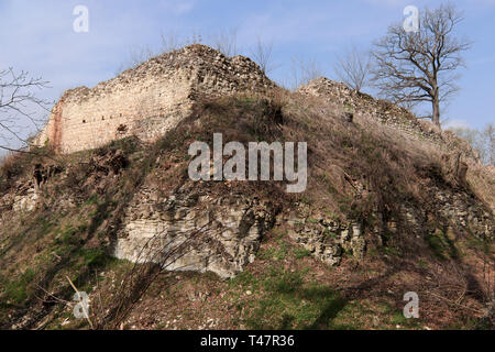 Ruins of the Pravda Castle, Czech Republic Stock Photo