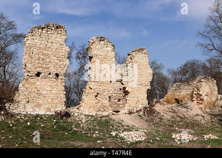 Ruins of the Pravda Castle, Czech Republic Stock Photo