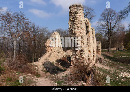 Ruins of the Pravda Castle, Czech Republic Stock Photo