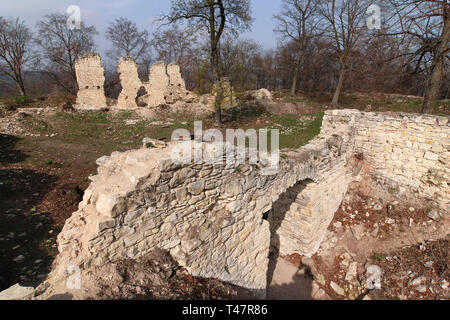 Ruins of Pravda Castle, Czech Republic Stock Photo