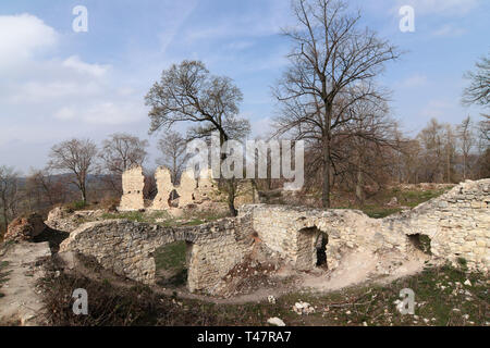 Ruins of Pravda Castle, Czech Republic Stock Photo