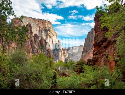 View in Zion Canyon with Mount Great White Throne, Zion National Park, Utah, USA Stock Photo