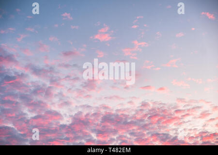 Colorful pink clouds on blue sky at evening Stock Photo