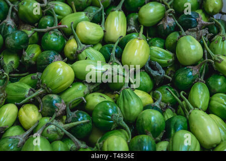 scarlet eggplant - 222021 - English common name - Solanum gilo