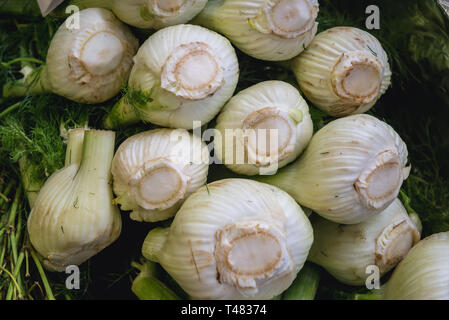 Fennel on Mercado do Livramento indoor market in Setubal near Lisbon, Portugal Stock Photo