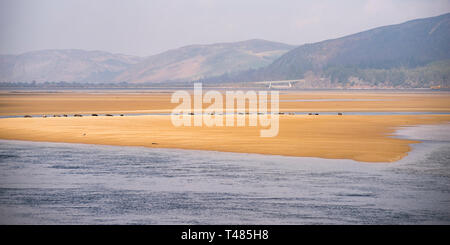 Looking Across Loch Fleet towards the Mound and the A9, Sutherland, Scotland, UK Stock Photo