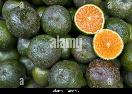 Ripe sliced citrus lying on pile of green oranges Stock Photo
