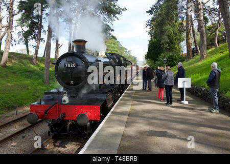 Dinmore Manor steam engine at Cheltenham Racecourse station on the Gloucestershire and Warwickshire Railway UK Stock Photo