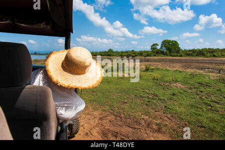 Woman enjoying the view from the safari truck Stock Photo