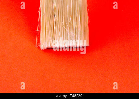 white bristles on a painter's brush on a red background Stock Photo