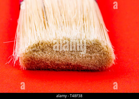 white bristles paintbrush on red background Stock Photo