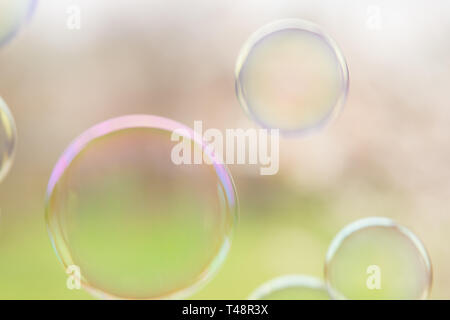 Soap bubbles fly up on natural background of spring garden. Stock Photo