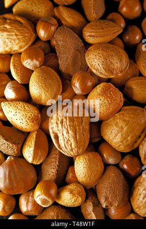 A WARM LIGHT CLOSE-UP OF CLEAN ASSORTED NUTS INCLUDING WALNUTS, HAZELNUTS, BRAZIL NUTS AND ALMONDS IN SHELLS Stock Photo