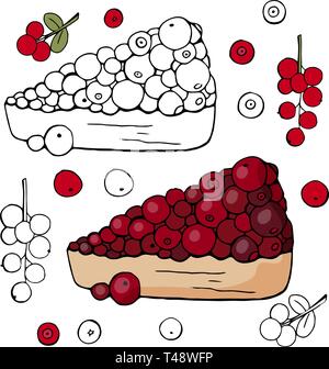 Black and white and colored cake with cranberry berries isolated on white background. Cranberry cake. Stock Vector
