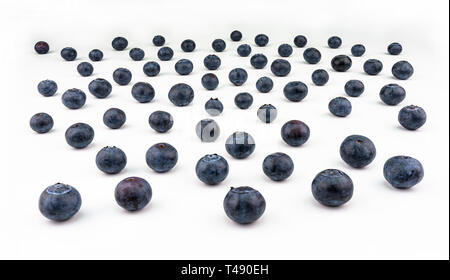Pattern made from fresh blueberries, view from the skew, isolated on a white background. Stock Photo
