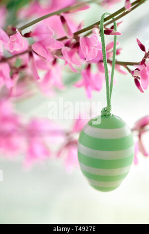 Close-up on decorative plastic Easter egg hanging on stems with small pink flowers with text space Stock Photo