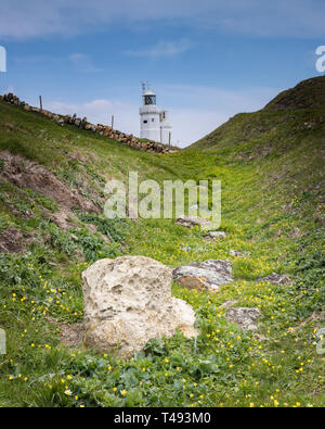 St Catherine's lighthouse with spring flowers and rocks in the foreground Stock Photo