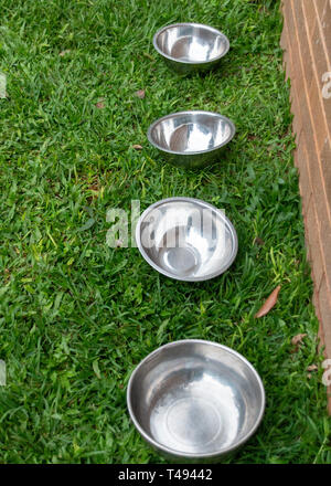 A close uop view of four silver metal bowls in a line on the grass outside in the garden Stock Photo