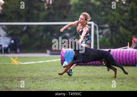 Doberman 2024 agility course