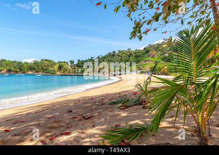 View of Republic of Trinidad and Tobago - Tropical island of Tobago - Parlatuvier bay - Tropical beach in the Caribbean Sea Stock Photo