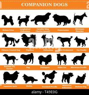 Set of 20 companion dogs. Vector set of companion breeds dogs standing in profile. Isolated dogs breed silhouettes set in black color on white backgro Stock Vector