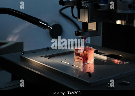 Tel Aviv, Israel. 15th April, 2019. A 3D printer is in the process of printing a human heart. Tel Aviv University researchers have printed the world’s first 3D vascularised engineered heart including cells, blood vessels, ventricles and chambers using a patient’s own cells and biological materials. Until now, scientists in regenerative medicine have been successful in printing only simple tissues without blood vessels. Scientists in the laboratory of Prof. Credit: Nir Alon/Ģ����ý Live News Stock Photo