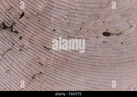Top view beautiful gray granite with cut marks background and texture. Stock Photo