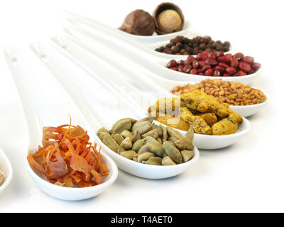Various Spice Panorama on white Background Stock Photo