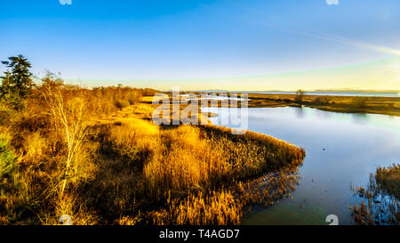 Winter Sunset over a lagoon in the Reifel Bird Sanctuary in the Alaksen National Wildlife Area on Westham Island near Ladner, British Columbia, Canada Stock Photo