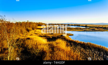 Winter Sunset over a lagoon in the Reifel Bird Sanctuary in the Alaksen National Wildlife Area on Westham Island near Ladner, British Columbia, Canada Stock Photo