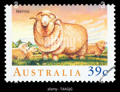 AUSTRALIA - CIRCA 1989:A Cancelled postage stamp from Australia illustrating Sheep in Australia, issued in 1989. Stock Photo