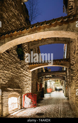 Tallinn, Estonia, Europe. St. Catherine's Passage At Winter Evening In Night Illuminations. Narrow Medieval Street. Famous Landmark. Historic Centre O Stock Photo