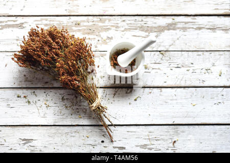 St. John's wort. Natural medicine, herbal medicine. Herbery Stock Photo