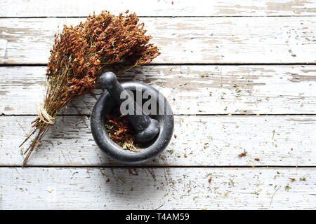 Herbery, St. John's wort. Natural medicine, herbal medicine Stock Photo