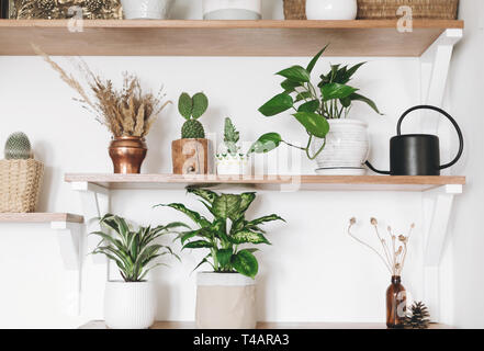 Natural home decor in wooden interior of bedroom. Bouquet of dried sticks  in vase and wicker basket at floor Stock Photo - Alamy