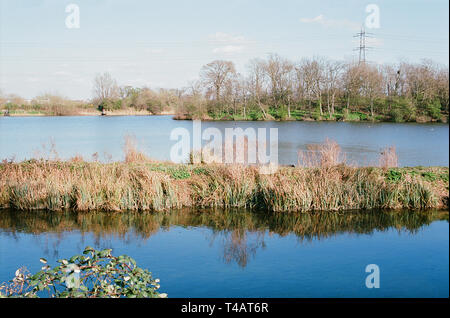 Reservoir No1 and Coppermill Stream in springtime, in Walthamstow Wetlands Nature Reserve, North East London UK Stock Photo